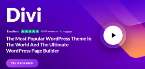 divi theme