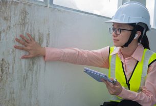 The Value of Vigilance: Why Mold Inspection in Palm Harbor Is a Smart Move for Every Homeowner The Value of Vigilance: Why Mold Inspection in Palm Harbor Is a Smart Move for Every Homeowner
